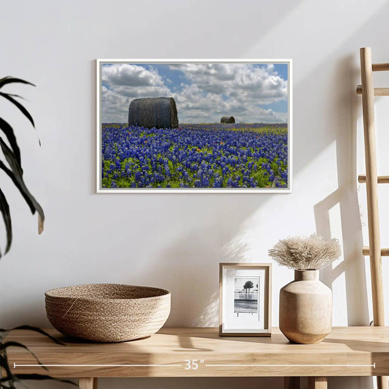 Texas Bluebonnets, Cadre flottant blanc, 19 po x 13 po