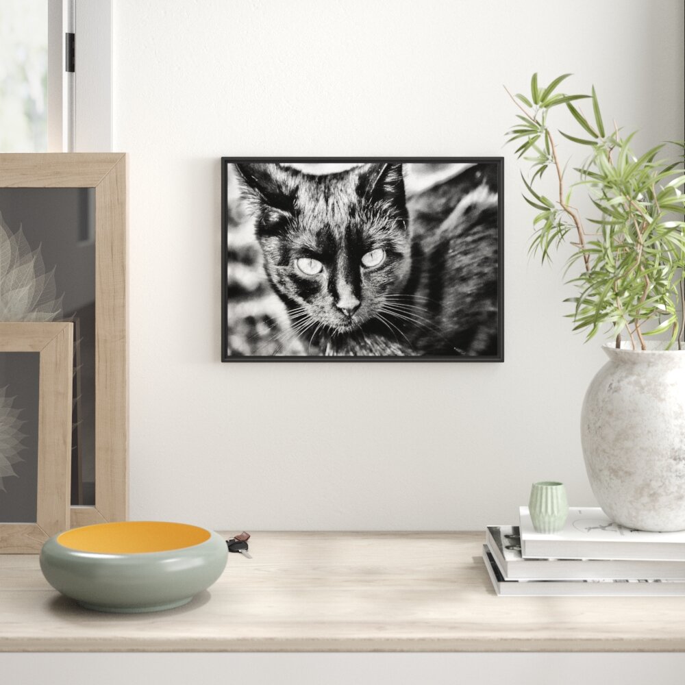 Gerahmtes Wandbild schwarze Katze