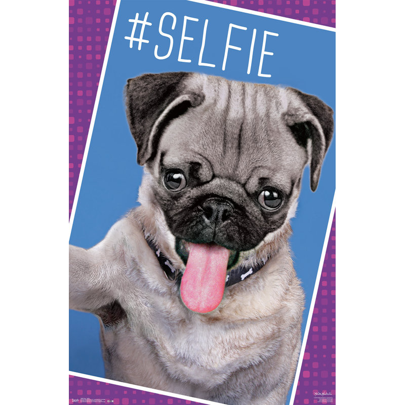 Impression sur papier carlin-selfie