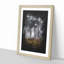 Forest in Russia - Picture Frame Graphic Art Print-56856716-56856712