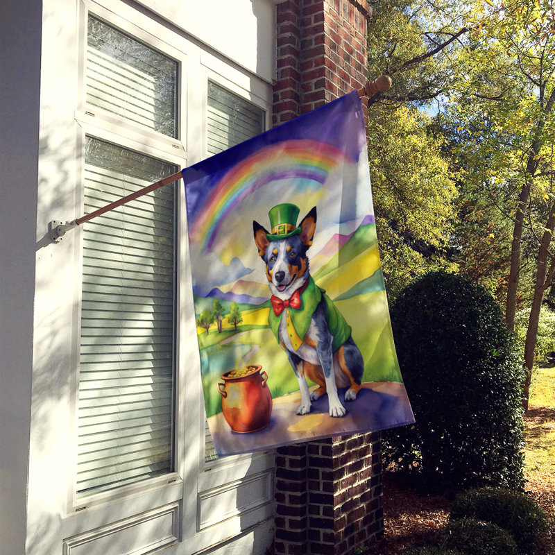 Drapeau double face en polyester H 40 po x l 28 po St Patrick's Day House
