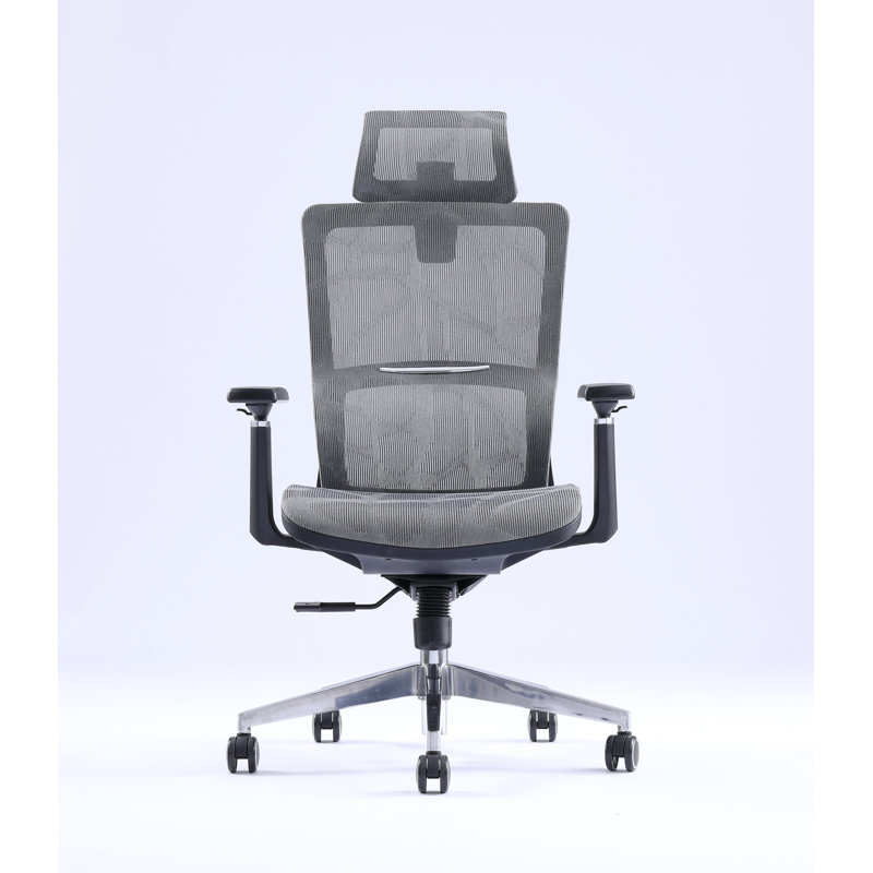 Fauteuil de bureau ergonomique Casson Mesh, gris