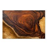 Great Oak Print