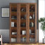 Vitrine avec portes en verre, armoire de rangement Curio avec 5 tablettes, bibliothèque avec lumières DEL