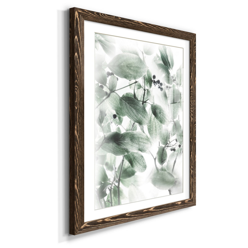 Berry Blush II - Reproduction d'art graphique sur papier encadré, H 31,5 po x l 23,5 po x P 1,5 po, Noyer