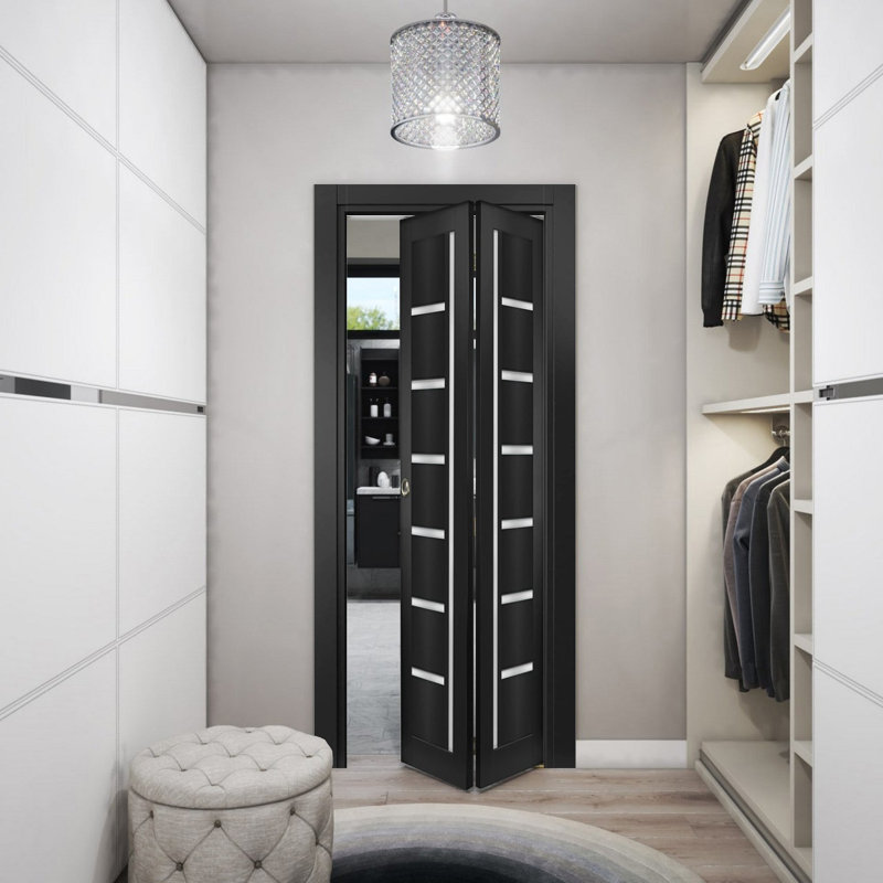 Portes coulissantes pliantes pour garde-robe 30 x 80 Quadro 4088 Noir mat avec verre dépoli, rails robustes, moulures, garnitures, quincaillerie, bois massif, portes de placard de chambre