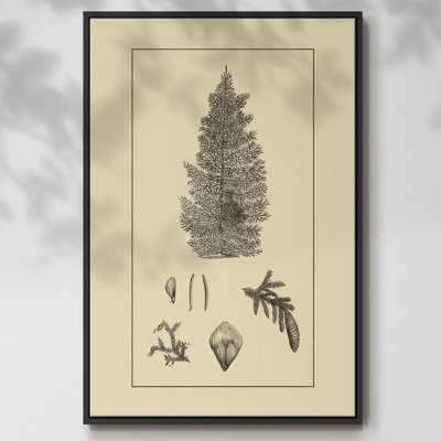 Arbor Study I