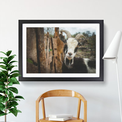 Goat Vol.1 - Picture Frame Painting