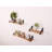 Turbotville 3 Piece Solid Wood Floating Shelf