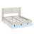 Modern Style Velvet Fabric Floating Bed Frame With LED Lights Wingback Upholstered Bed No Box Springs Needed, Size,-1710353285-1710353284