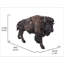 Bison de grande taille