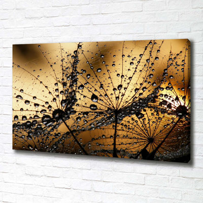 Dandelion Seeds - Wrapped Canvas Print