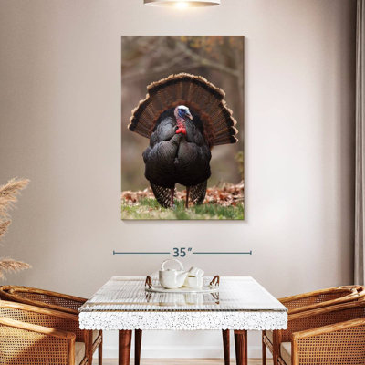 Brampt Strutting Tom Turkey