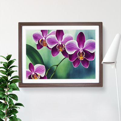 Luscious Orchid Flowers - Single Picture Frame Print