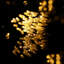 Guirlande de 5 lumières d'Halloween et de Noël décoratives, 100 ampoules, 100% imperméable, réutilisable-761745154