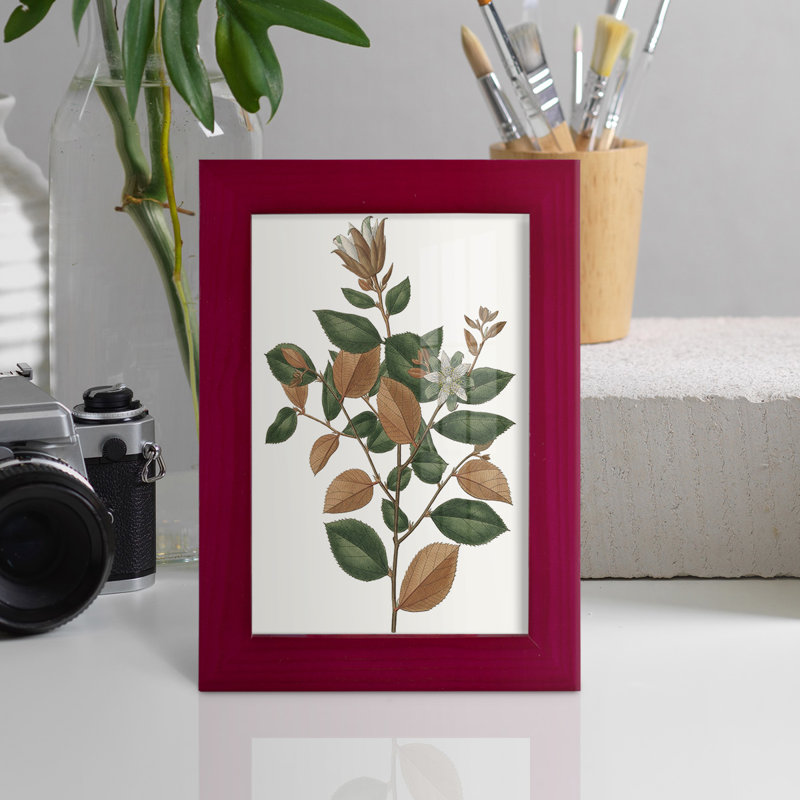 Feuillage d'automne, reproduction encadrée sur papier, Rouge, H 6 po x l 4 po x P 1 po