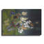 Luxe Metal Art 'Butterflies' By Harro Maass, Metal " Butterflies " by Harro Maass-101613945