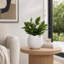 Contenant décoratif de jardin intérieur / extérieur texturé en pot de 7 po - blanc