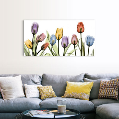 " Tulip "
