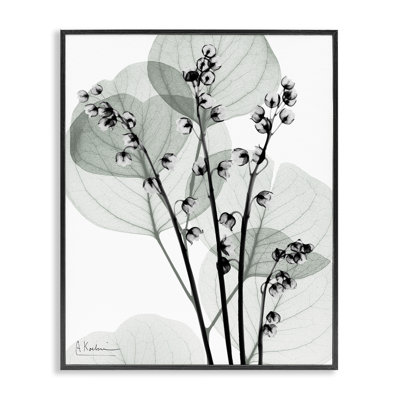 Giclée encadrée de fines herbes fraîches, design par Albert Koetsier