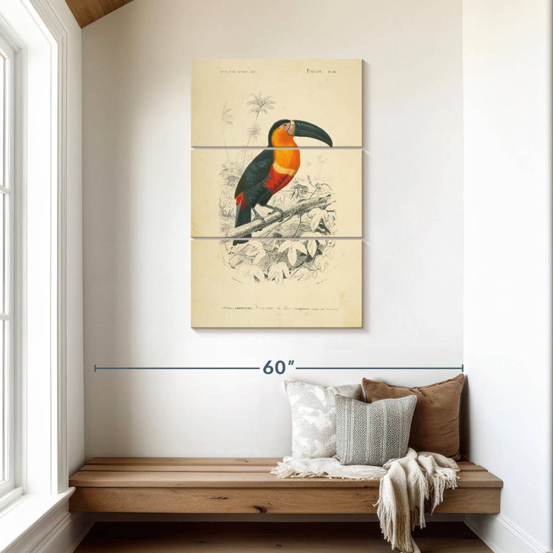 Brampt Toucan Du Para, 45" H x 28" W
