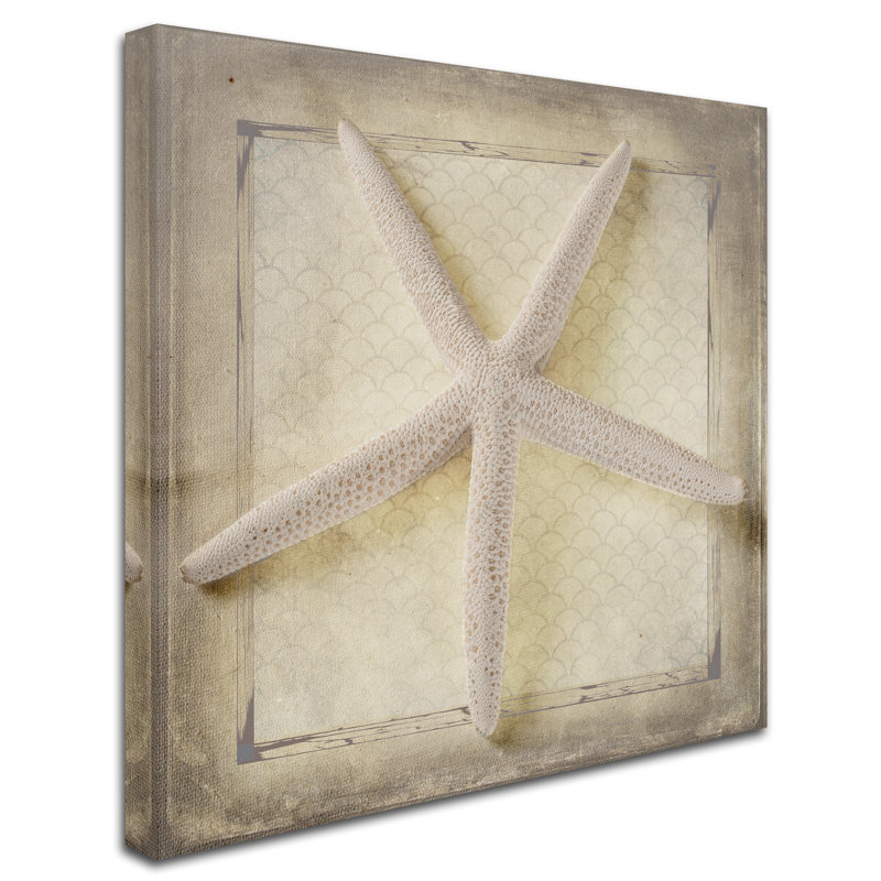 " Starfish " by LightBoxJournal, 24" H x 24" W x 2" D