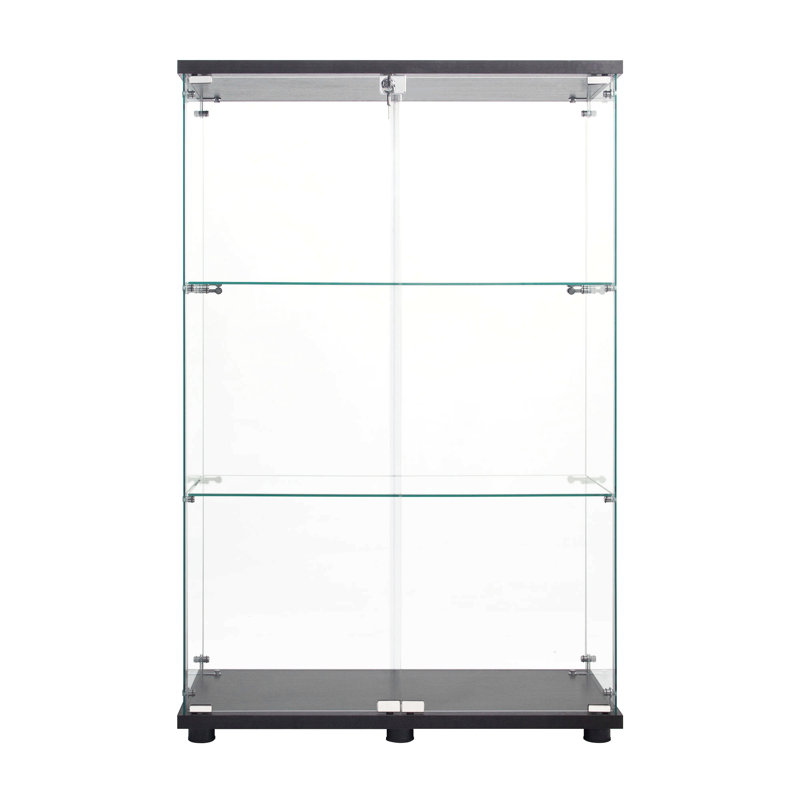 Two Door Glass Cabinet Glass Display Cabinet With 3, Black