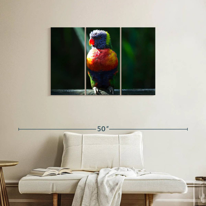 Brampt Sunlit Rainbow Lorikeet, 24" H x 38" W