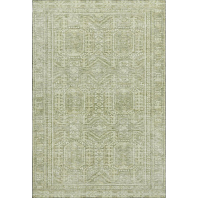 Premium Machine Washable Ashlynn Border Rug