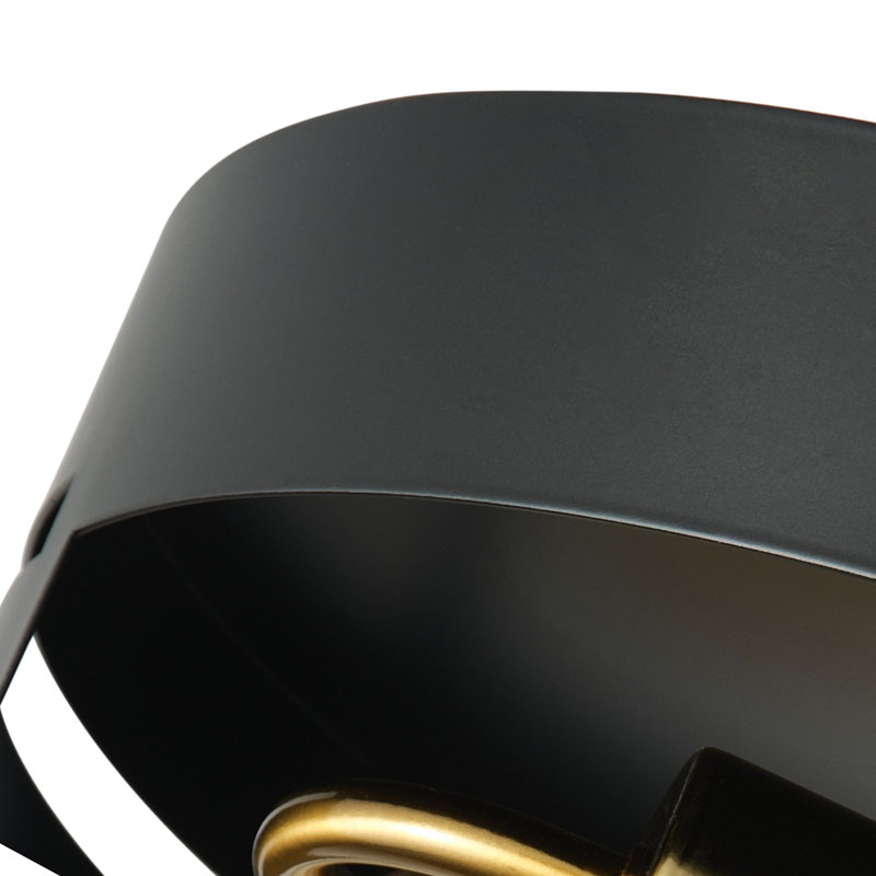 2-lamp matte black adjustable iron ceiling light