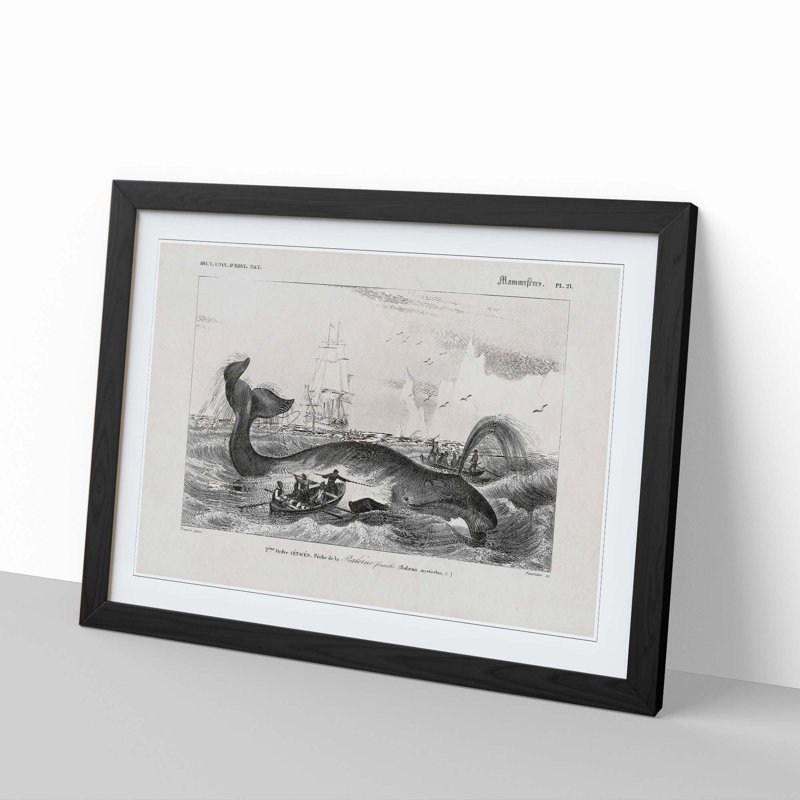 Hunting a Bowhead Whale by Charles dOrbigny - Framed Print, 48cm H x 65cm W x 2cm D, Black Framed