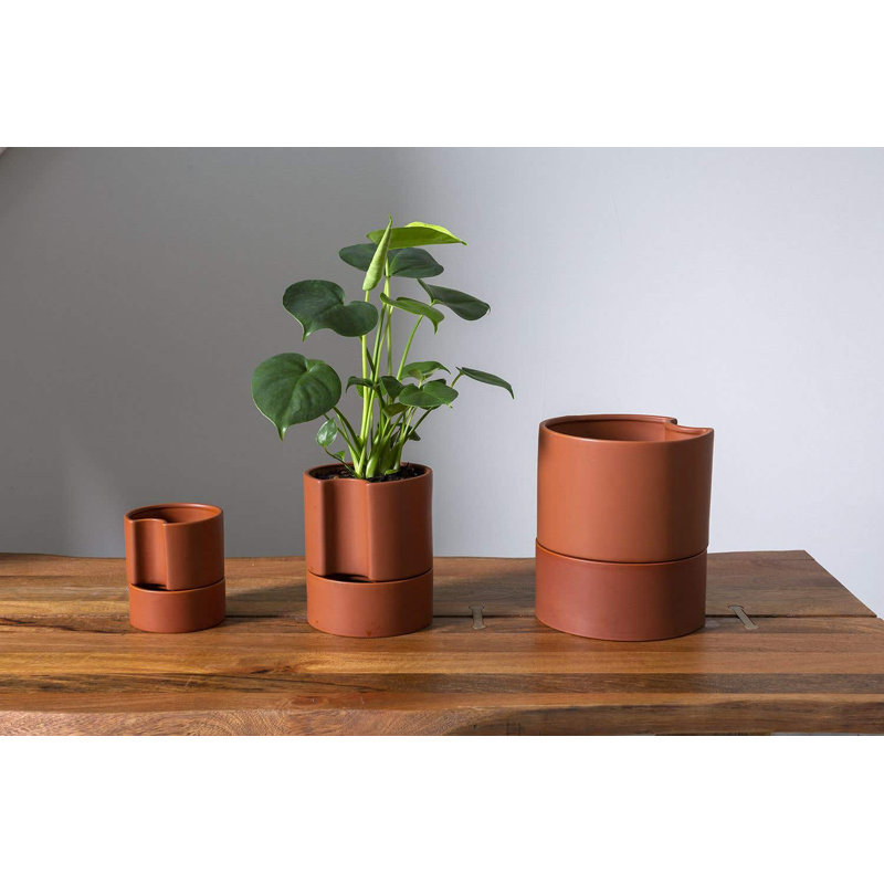 Pot de fleurs en céramique Patti, Terre cuite, H 7 po x l 6 po x P 6 po