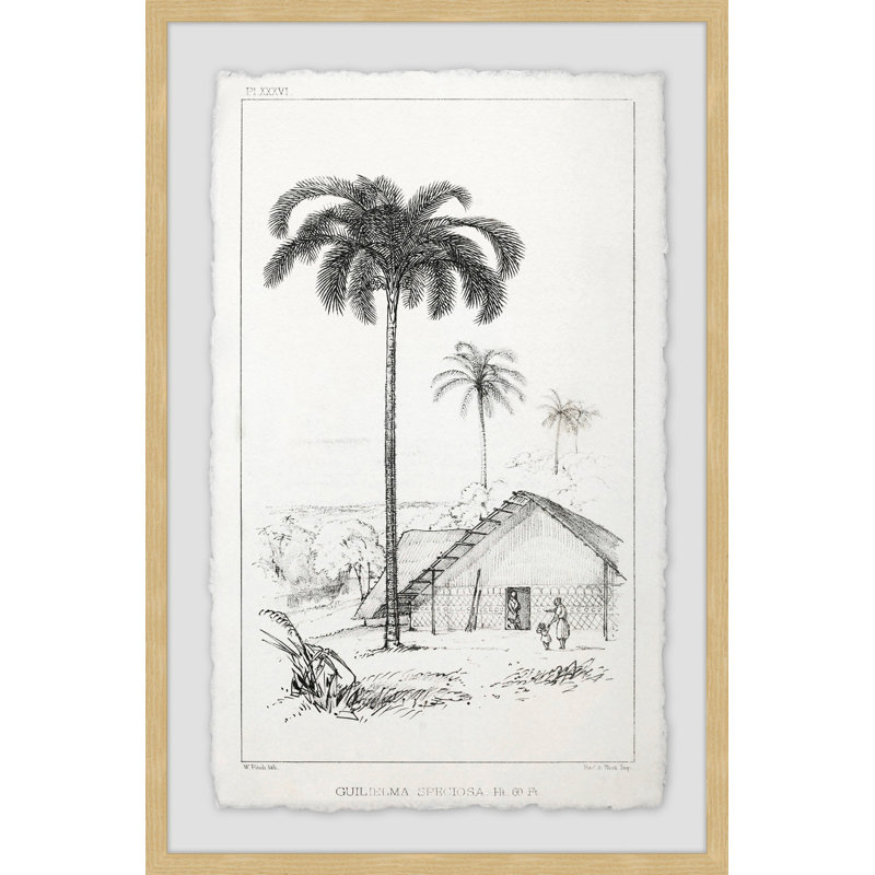The Arecaceae - Single Picture Frame Painting, 91cm H x 61cm W x 4cm D