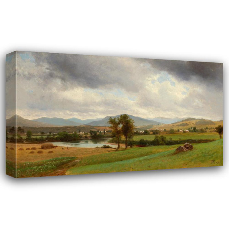 "Sans titre" par David Johnson - Art sur toile tendue avec châssis, H 24 po x l 17 po