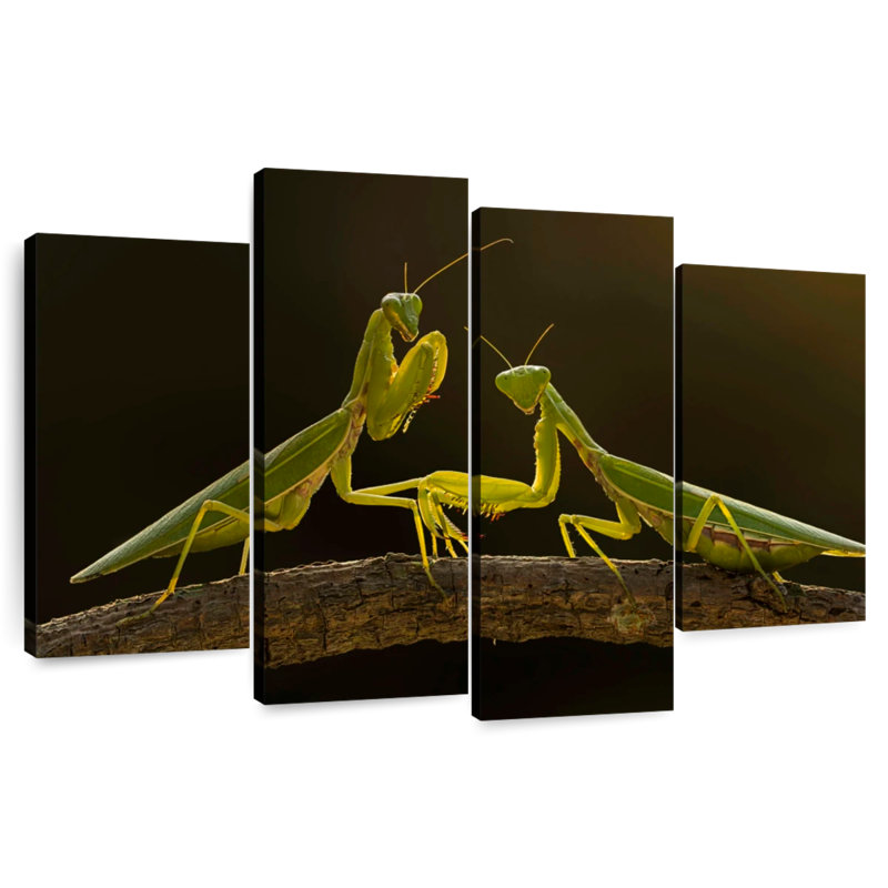 Brampt Praying Mantis Duo, 48" H x 75" W