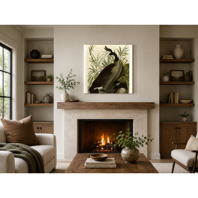 Canada Goose, planche 201 (1827-1838) - art mural carré sur toile, 12" W x 12" H