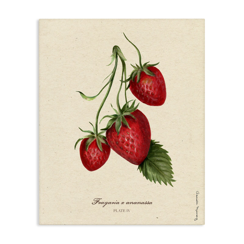Portrait de fraise, toile par Danielle Murray, H 30 po x l 24 po