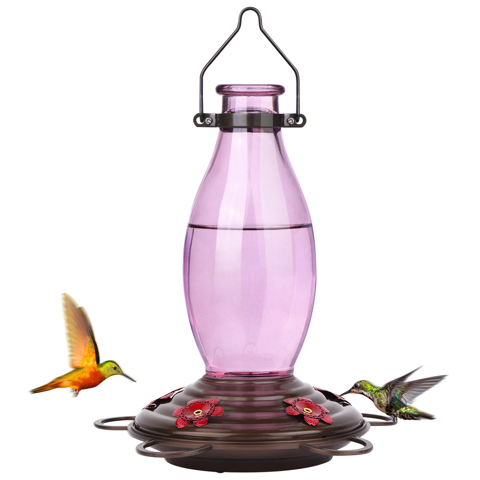 Winston Porter Makaius Glass Hanging Hummingbird Feeder & Reviews 