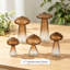 Ensemble de 5 vases en verre Amber en verre, mini vases à bourgeons uniques pour centres de table, vases décoratifs pour fleurs, décor de vase plante Funky
