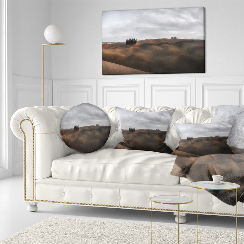 Coussin Schafer