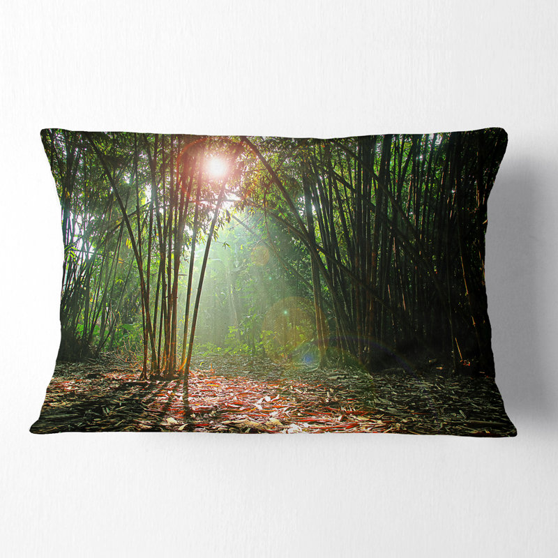 Coussin décoratif Amazing Green Forest at Sunset