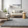 Conye Performance Grey Shag Area Rug