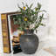 Vase à fleurs en céramique | Maison de ferme rustique en poterie 6 pouces | Boho | Vase en terre cuite pour décoration intérieure, table, salon, salle de bain, tablette, décoration de manteau de cheminée-1458095434