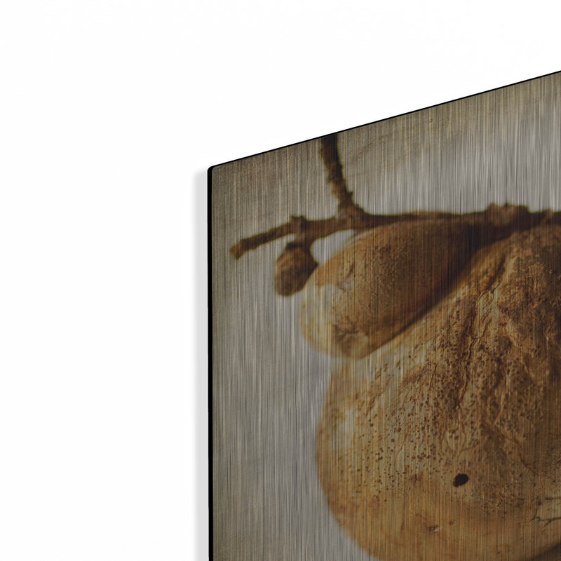 «Oak Pods 3» par Jessica Rogers, H 12 po x l 12 po