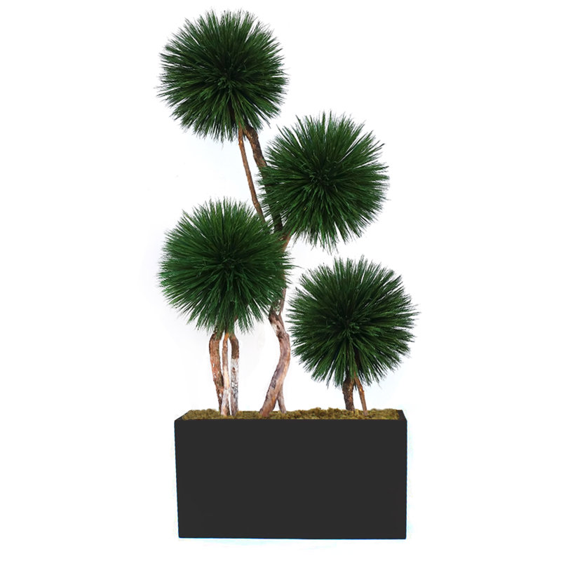 Topiaire en pot de fleurs exclusive Dalmarko, Brun