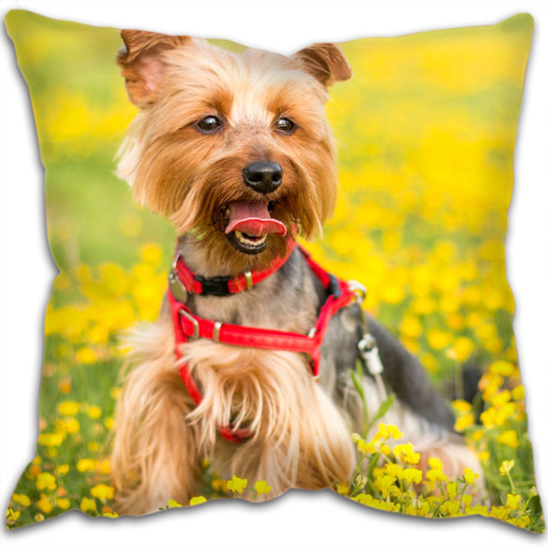 Magdalen Square Cushion