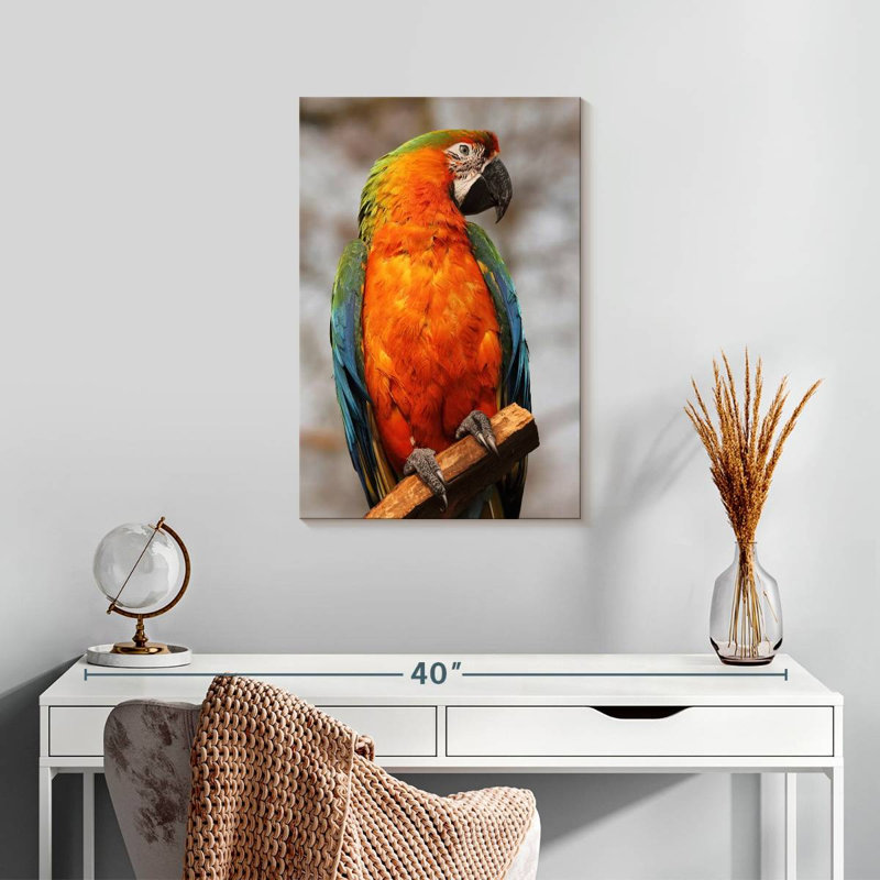 Brampt Catalina Macaw, 24" H x 16" W