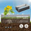 Raised Garden Bed