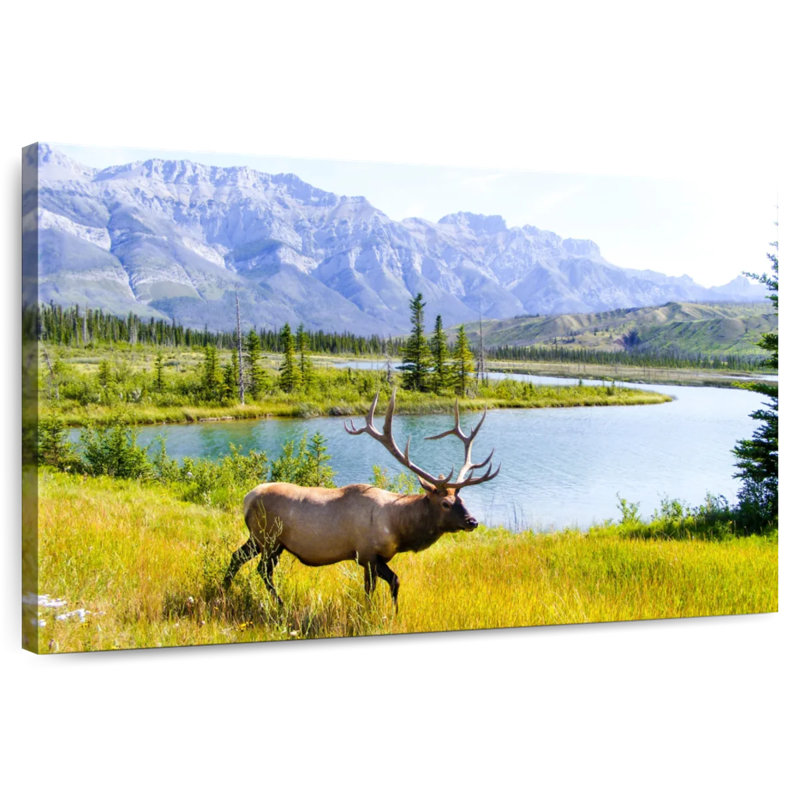Brampt Elk Paradise, 32" H x 48" W