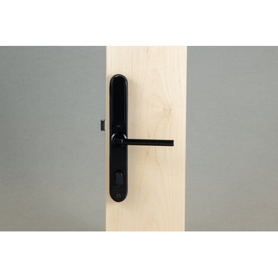 Commercial Smart Lock